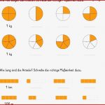 Brüche Mathe Arbeitbletter Klasse 6 Die Genaue