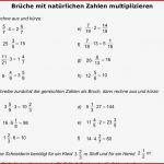 Brüche Mathe Arbeitbletter Klasse 6 Schulaufgaben