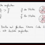 Brüche Vergleichen Und ordnen Arbeitsblatt Mathematik