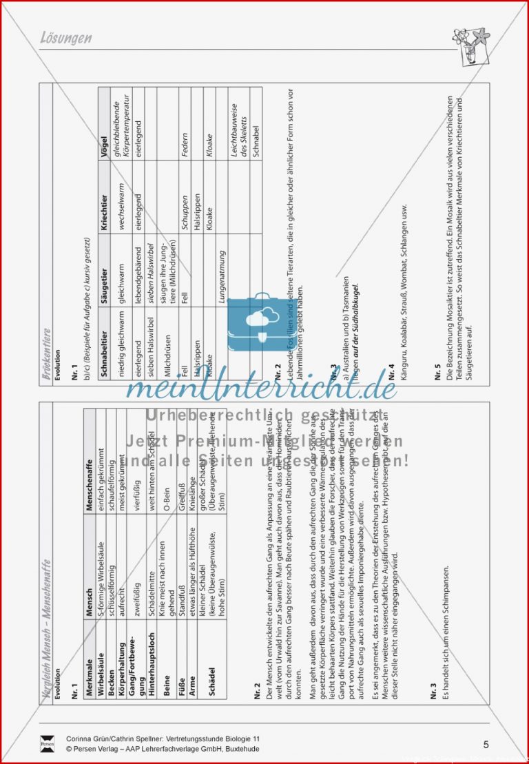 Brückentiere Der Evolution Meinunterricht