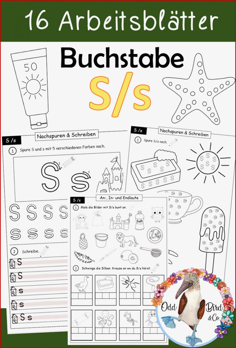 Buchstabe S s Einführung inklusive Geschichte