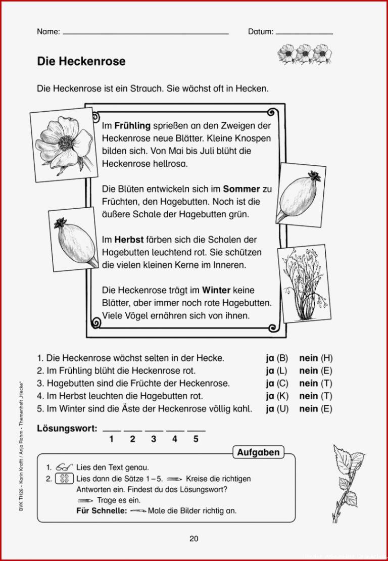 BVK BuchVerlagKempen on Twitter 