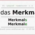 Cклонение Merkmal признак …