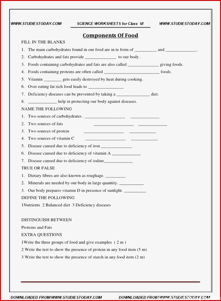 CBSE Class 6 Worksheet ponents of Food