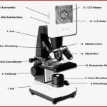 Celestron Ldm Digitales Lcd Mikroskop 3 5 Zoll Amazon