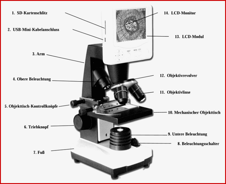 Celestron LDM Digitales LCD Mikroskop 3 5 Zoll Amazon