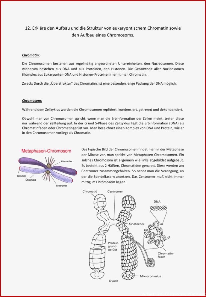 Chromosom Chromatin