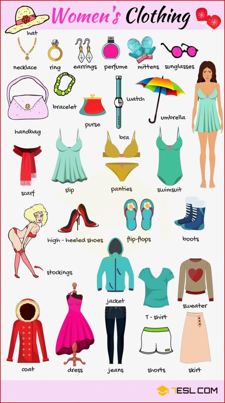 Clothes Vocabulary Learn Clothes Name with
