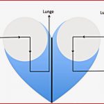 Darstellungen Modelle Des Herzens