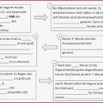 Das Auge Arbeitsblatt Klasse 9 Stephen Scheidt Schule