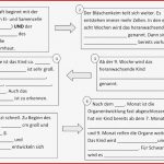 Das Auge Arbeitsblatt Klasse 9 Stephen Scheidt Schule