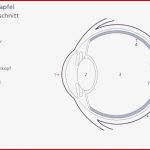 Das Auge Küpper Optik Gmbh