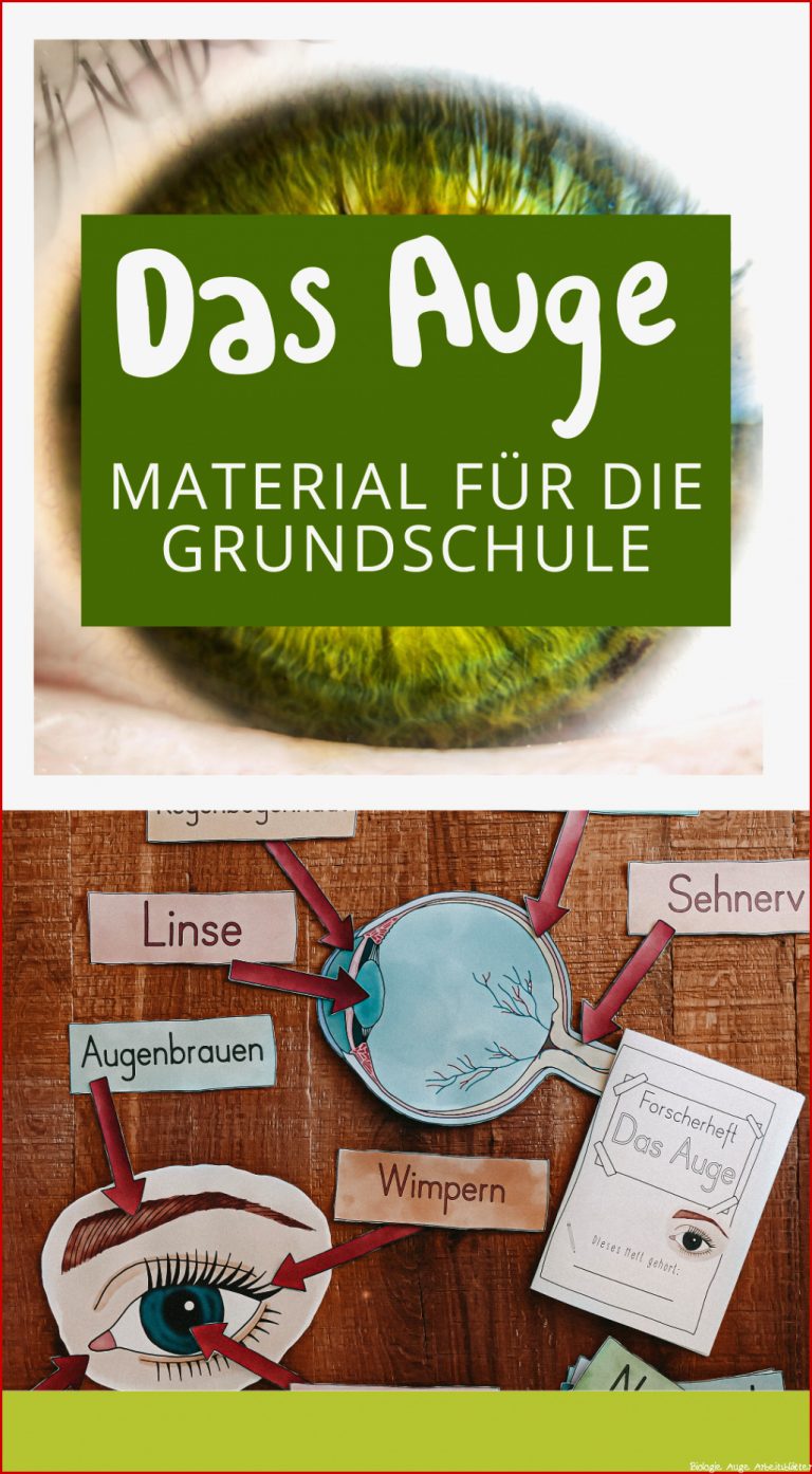 Das Auge Materialpaket mit Forscherheft & Bildkarten