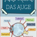 Das Auge Tafelmaterial Auge Von Außen & Innen