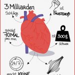 Das Herz Sketchnote Biologie Arbeitsblatt Sek I