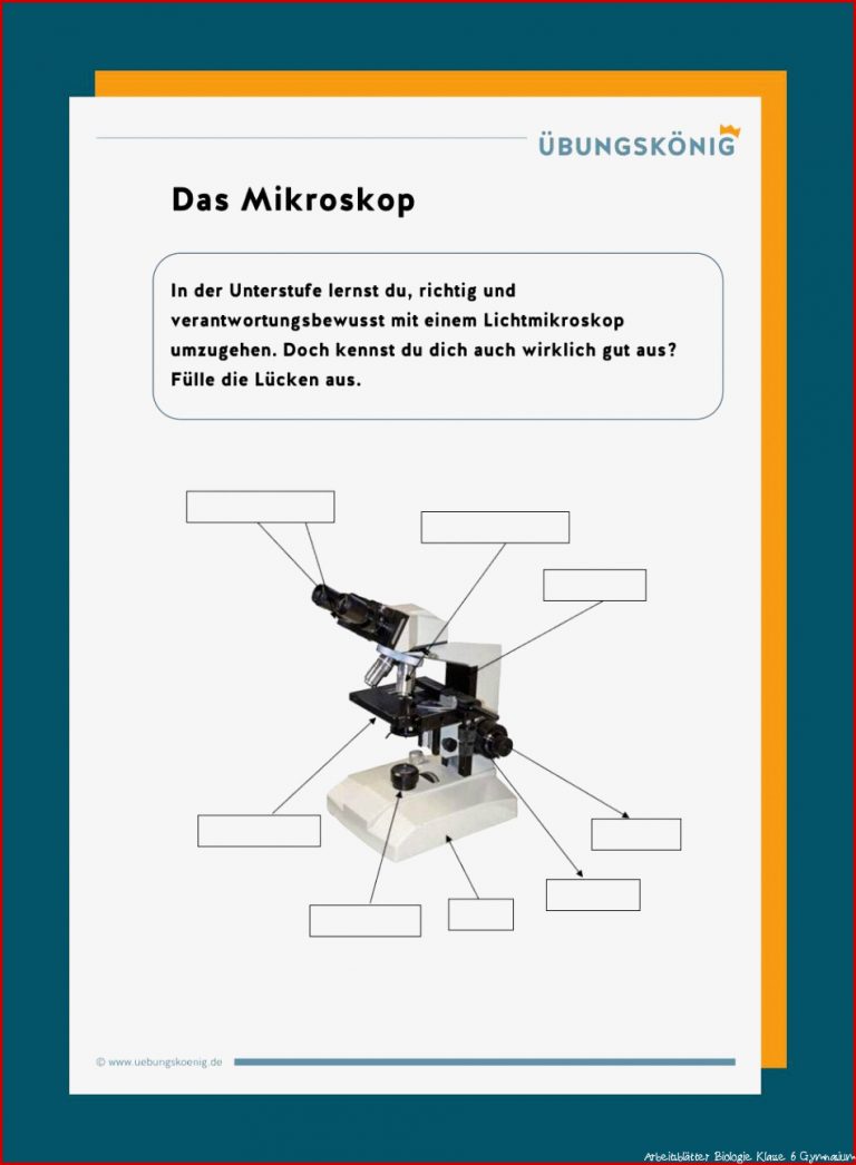 Das Mikroskop