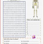 Das Skelett Des Menschen Arbeitsblatt Kostenlose Daf