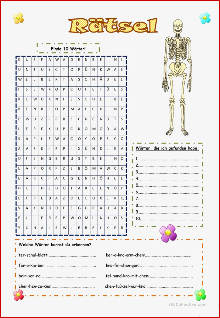 Das Skelett Des Menschen Arbeitsblatt Kostenlose Daf