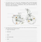 Das Verkehrssichere Fahrrad Sachunterricht In 2020
