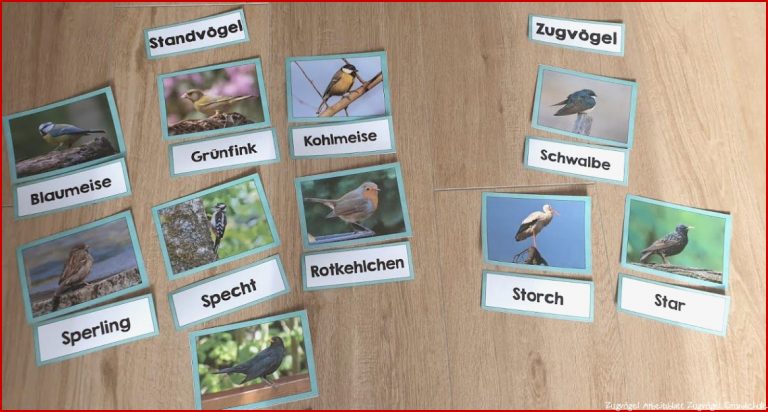 Demnächst starten wir mit dem Thema Vögel im Winter Da