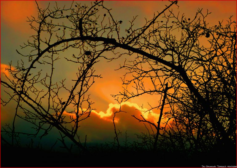 Der brennende Dornbusch Foto & Bild