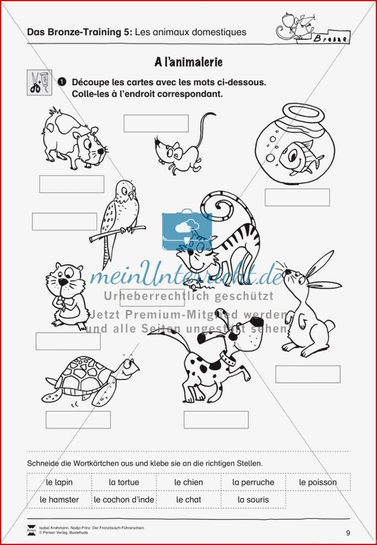 Der Französisch Führerschein Die Tiere Meinunterricht