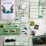 Der Frosch – Differenziertes Materialpaket 2 4 Klasse