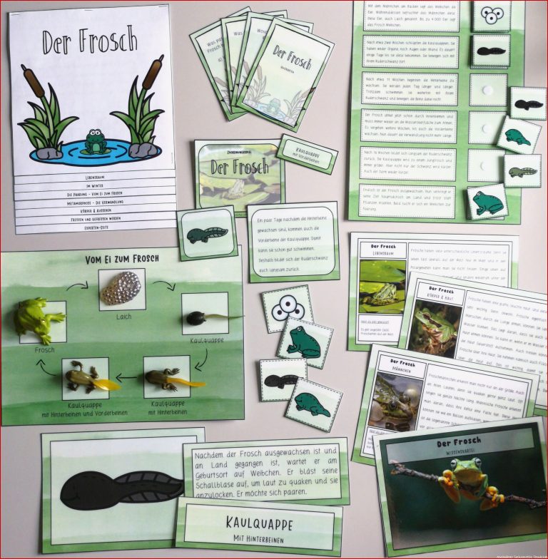 Der Frosch – differenziertes Materialpaket 2 4 Klasse