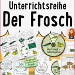 Der Frosch – Großes Materialpaket – Metamorphose