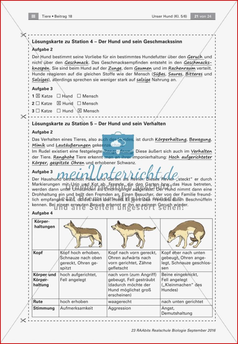 Der Hund: Sinnesleistungen und Verhalten - meinUnterricht