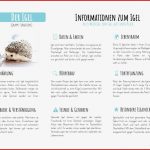 Der Igel - Materialguru
