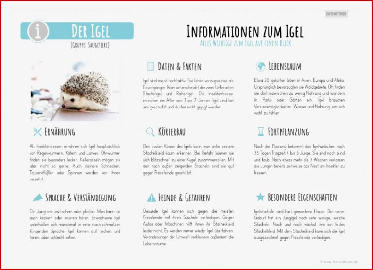 Der Igel - MaterialGuru