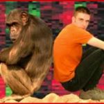 Der Kleine Unterschied Zwischen Menschen Und Schimpansen