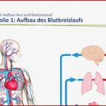 Der Mensch Gesundheit Und Krankheit – therapien Der