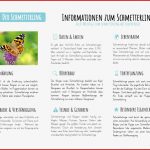 Der Schmetterling Materialguru