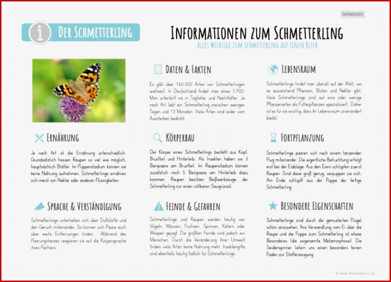 Der Schmetterling MaterialGuru Heruntergeladen Werden Der Schmetterling MaterialGuru