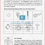 Der Tastsinn Arbeitsblatt Meinunterricht