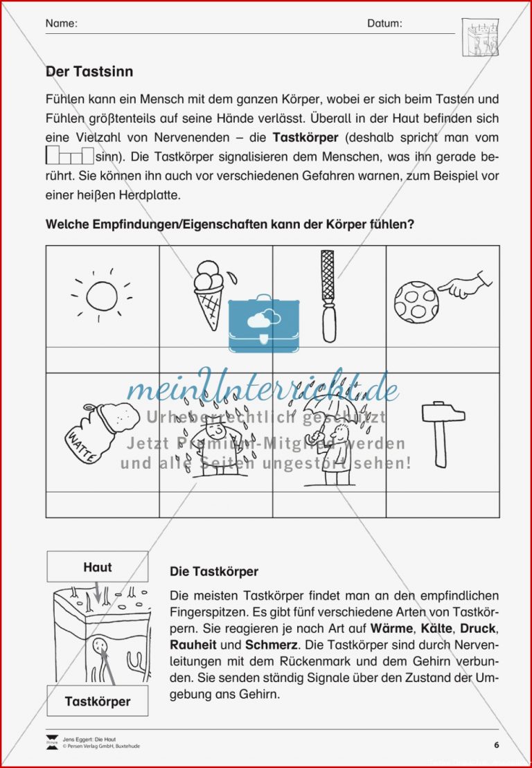 Der Tastsinn Arbeitsblatt meinUnterricht