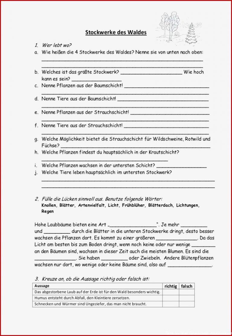 Der Wald Grundschule Heruntergeladen Werden Der Wald Grundschule