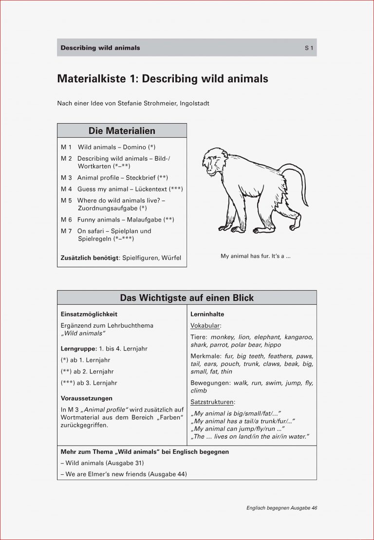 Describing wild animals - Materialkiste