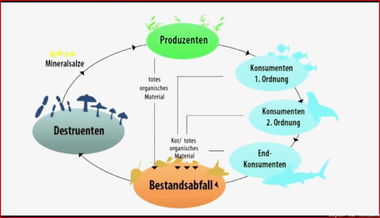 Destruenten See