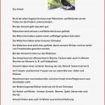 Die Amsel Lesetext Leichte Sprache – Unterrichtsmaterial