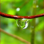 Die Anomalie Des Wassers Spektrograph