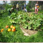 Die Arbeit Des Frühjahrs Wurde In Der Garten Ag Durch