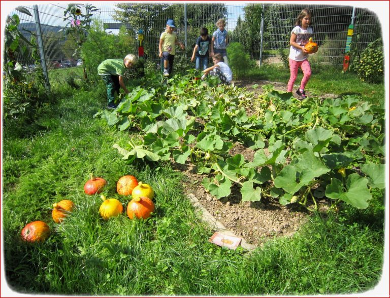 Die Arbeit Des Frühjahrs Wurde In Der Garten Ag Durch