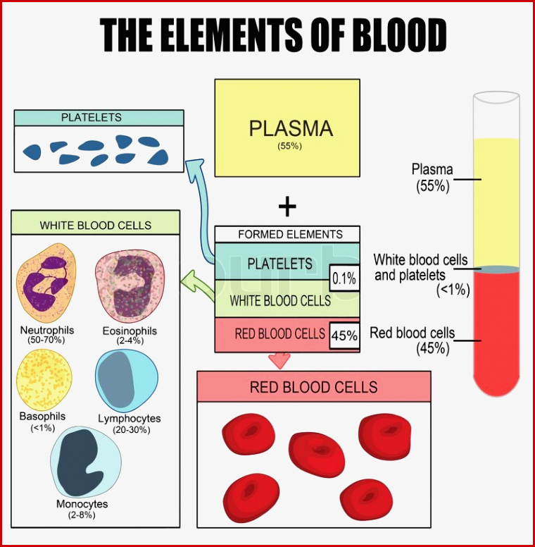 Die Elemente Des Blutes Stock Vektor