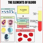 Die Elemente Des Blutes Vektorgrafik