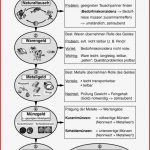 Die Entwicklung Des Geldes Informationen Und