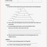 Die Ernährungspyramide Arbeitsblatt Ideen Arbeitsblätter