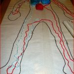 Die Fantastischen 5 Blutkreislauf Und Blut